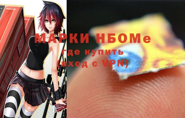 мдпв Лабытнанги