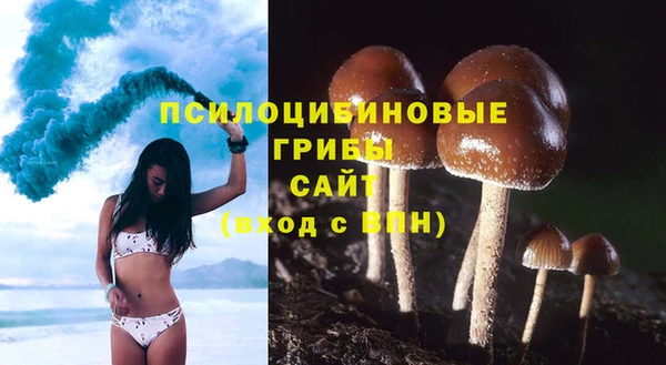 мет Алзамай