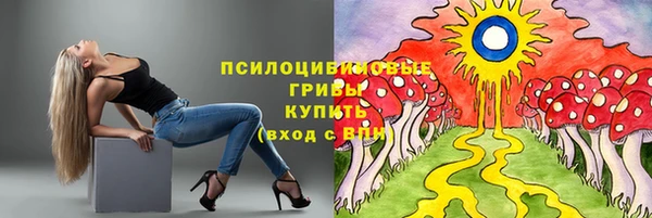 прущие крисы Алексин